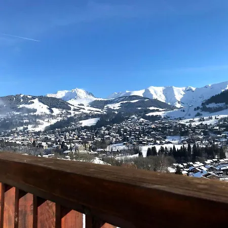 Confortable 3 Pieces A Avec Wi-fi Et Garage A Skis - Fr-1-453-306 *